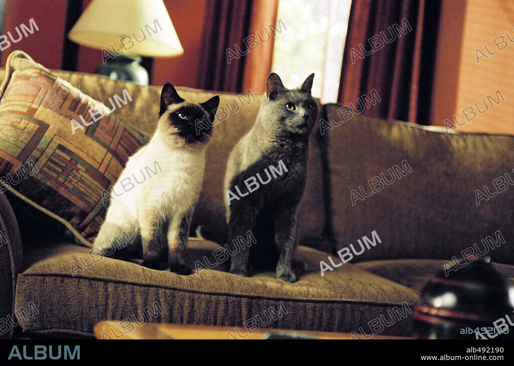 GARFIELD. LA PELICULA, 2004 (GARFIELD: THE MOVIE), dirigida por PETER HEWITT. Copyright TM 20 TH CENTURY FOX.