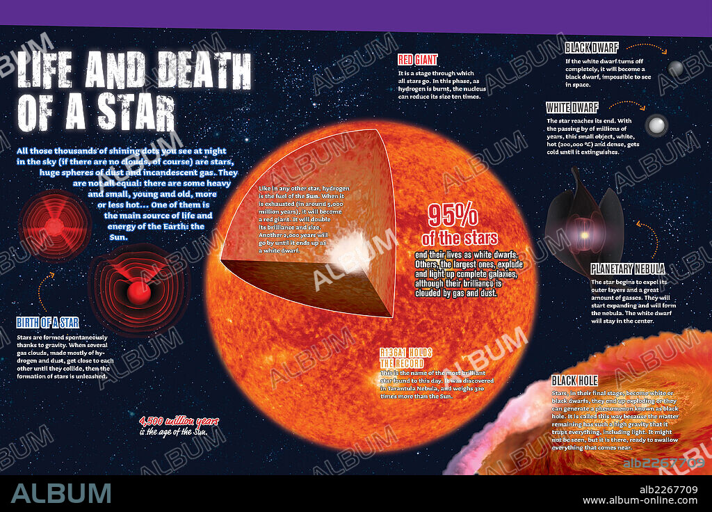 Vida y muerte de una estrella. Infografía sobre las estrellas y entre ellas el Sol.