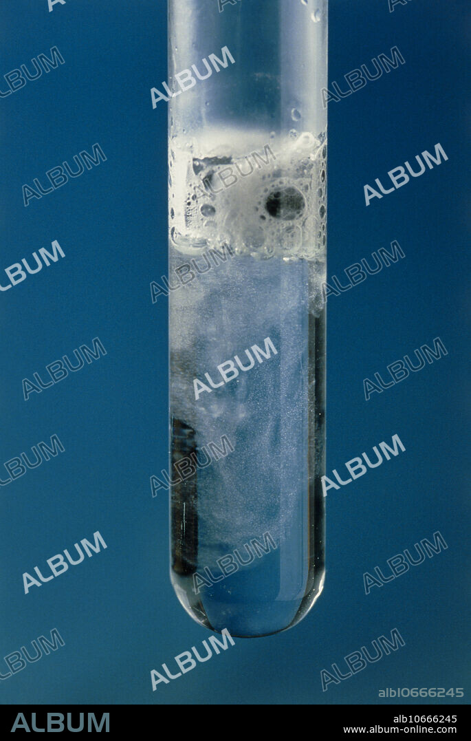Lithium reacting with water. Chemical reaction between lithium metal and water in a test tube. The lithium is floating in the water, supported by the bubbles clinging to it as they are produced during the reaction. Water molecules (H20) are made of hydrogen (H) and oxygen (O) atoms. The lithium (Li) metal is more reactive than hydrogen and replaces one of them in the water molecules to make lithium hydroxide (LiOH). Each hydrogen atom combines with another to form hydrogen gas (H2). The equation for this reaction is: 2Li + 2H20 -----> 2LiOH + H2 Lithium hydroxide is a strongly alkaline substance used in greases and electrical batteries.
