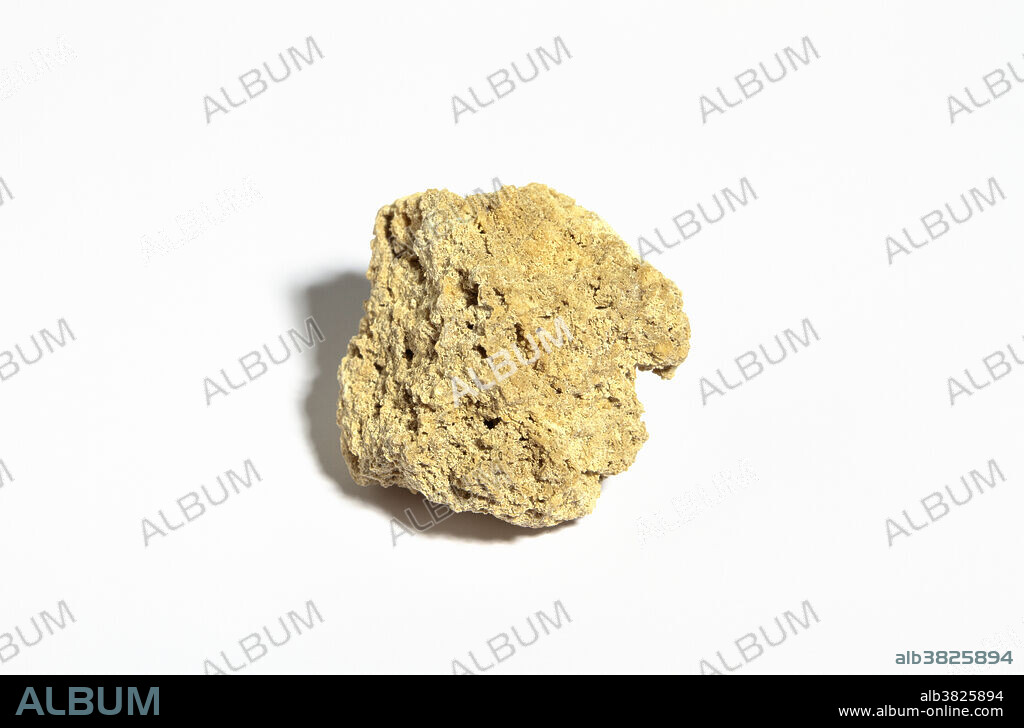 Calcareous tufa, a sedimentary rock.