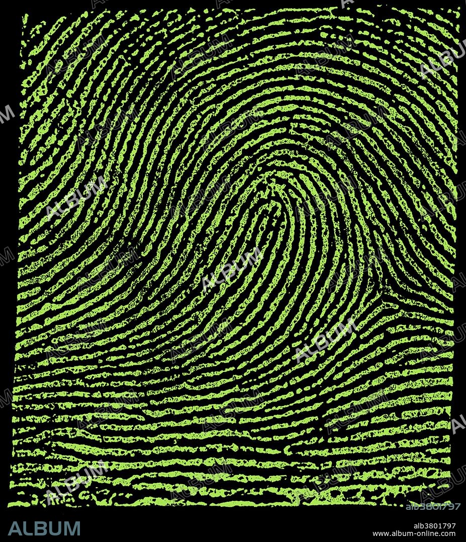 Fingerprint image taken from Edward Richard Henry's "Classification and Uses of Fingerprints." The Henry Classification System divides fingerprint records into groupings based on pattern types. The system makes it possible to search large numbers of fingerprint records by classifying the prints according to whether they have an "arch," "whorl," or "loop." In the typical loop pattern the ridges enter from one side of a finger, form a curve, and then exit on that same side. The Henry Classification System is a long-standing method by which fingerprints are sorted by physiological characteristics for one-to-many searching. Developed by Sir Edward Henry in the late 19th century for criminal investigations in British India, it was the basis of modern day AFIS classification methods up until the 1990s. In recent years, the Henry Classification System has generally been replaced by ridge flow classification approaches.