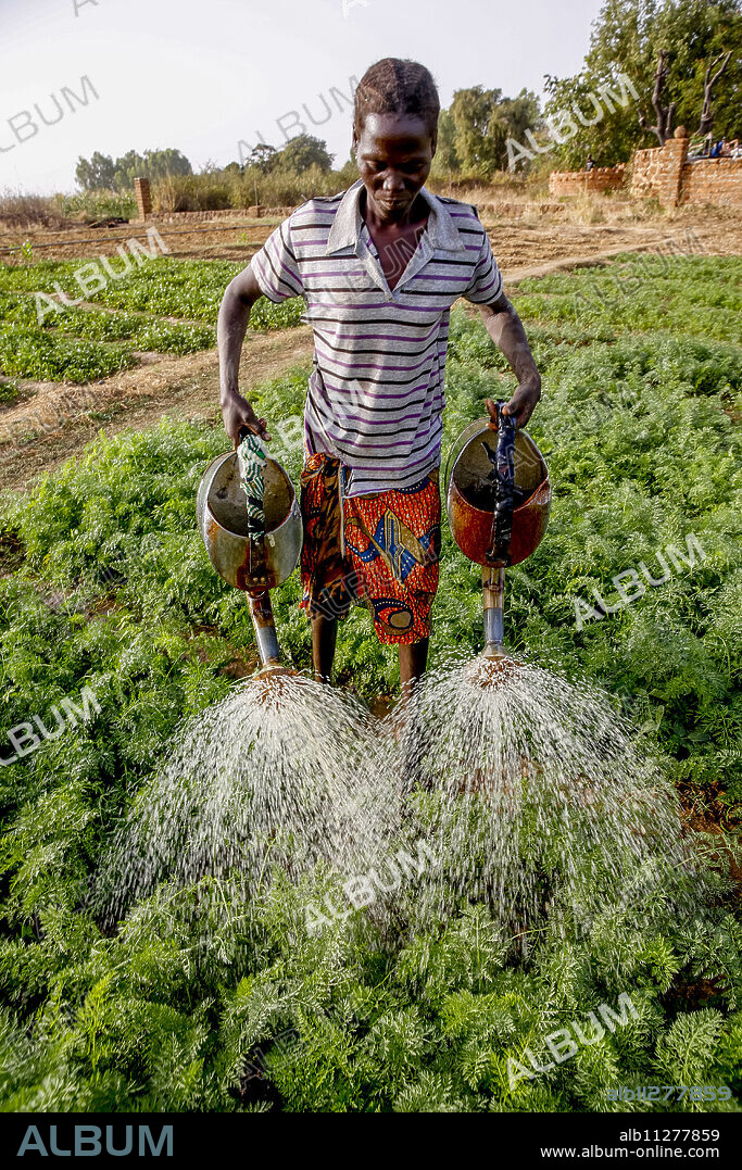Woman watering a vegetable garden in Loumbila, Burkina Faso, West Africa, Africa.