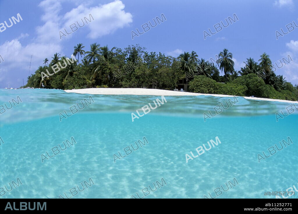 Asdu Island, North Male Atoll, Maldives, Indian Ocean, Asia.