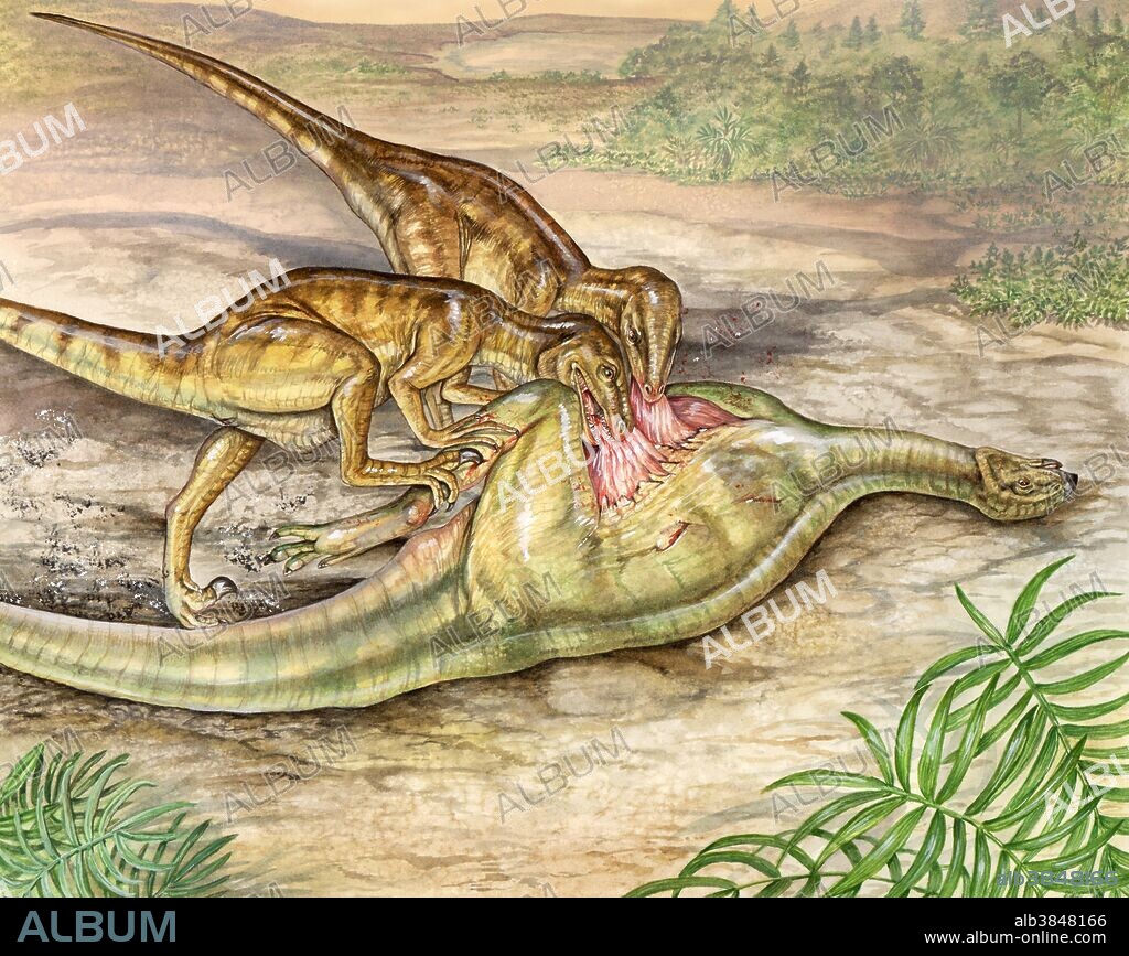 Deinonychus feasting on a recently killed tenontosaurus.