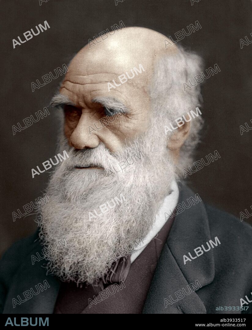 Charles Darwin, British naturalist, 1878. Darwin started his career on board the HMS 'Beagle' and spent six years surveying the South American seas. He is remembered for his momentous contributions to biology and as the originator of the theory of evolution. His most famous work, The Origin of the Species by Means of Natural Selection, was published in 1859. From Men of Mark: a gallery of contemporary portraits of men distinguished in the Senate, the Church, in science, literature and art, the army, navy, law, medicine, etc. Photographed from life by Lock and Whitfield, with brief biographical notices by Thompson Cooper. (Conducted by GC Whitfield.) (London, 1876-1883). (Colorised black and white print).