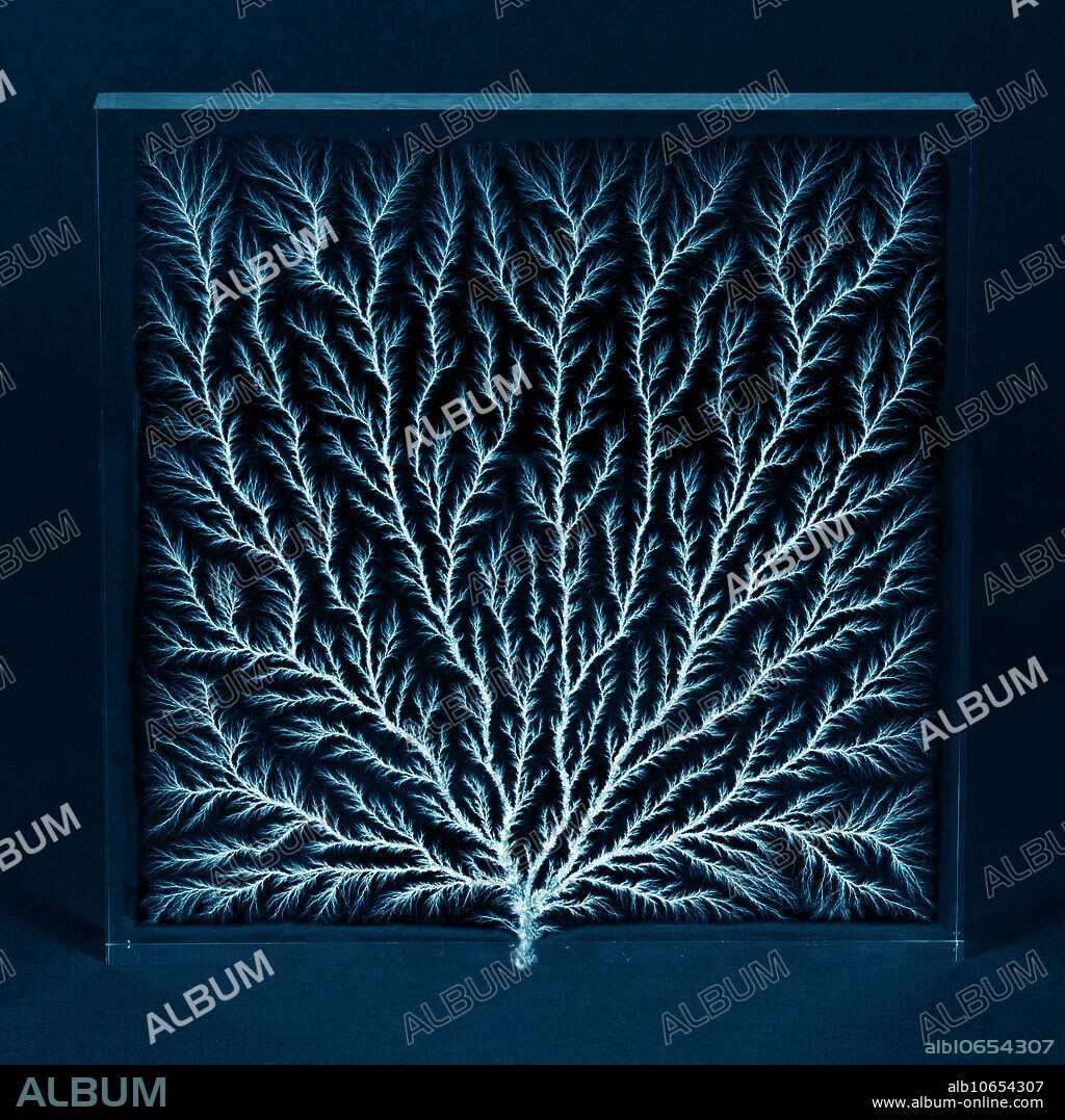 Lichtenberg figure, also known as an electron tree, beam tree, or lightning tree. Lichtenberg figures are branching electric discharges appearing on the surface or interior of an insulating material. This figure was created using an Electron Linear Accelerator (Linac), which delivered an electron beam aimed toward a thick block of acrylic. The electrons penetrate the surface of the acrylic, and rapidly decelerate as they collide with molecules inside the plastic, finally coming to rest. The pattern the electrons make in the acrylic as they rush out of the block looks like a tree, or fern-like structure. These figures can be found in the grass surrounding a lightning strike, and can also appear on the skin of lightning strike victims.