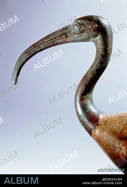 Copper alloy Ibis head. Ibis were considered as an incarnation of the god Thoth, patron deity of scribes. In the Late Period and Ptolemaic times numerous such statuettes were produced. Country of Origin: Egypt. Culture: Ancient Egyptian. Date / Period: Ptole (..).
