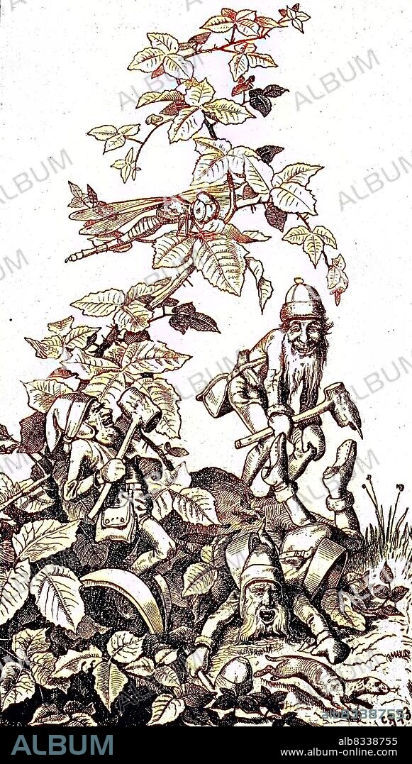 The Heinzelm§nnchen are a race of creatures appearing in a tale connected with the city of Cologne in Germany, here the little house gnomes hunting for a weasel / Die Heinzelm§nnchen sind eine Rasse von Kreaturen, die in einem M§rchen auftauchen, das mit der Stadt Kln in Deutschland verbunden ist, hier die kleinen Hauszwerge, die ein Wiesel jagen, historisch, C:CC5historical, digital improved reproduction of an original from the 19th century / digitale Reproduktion einer Originalvorlage aus dem 19. Jahrhundert, Originaldatum nicht bekannt.