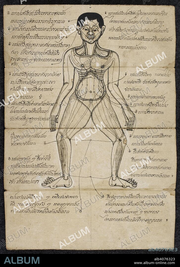 Thai medical diagram showing the pressure points on a Human body. Massage treatise. Thailand, 1800 - 1850. Paper folding book (samut khoi). Dimensions: 355 mm x 127 mm. Script: 4 lines per side, 31 cm long. Thai script. Source: Or. 13922 ff.9-10. Language: Thai.