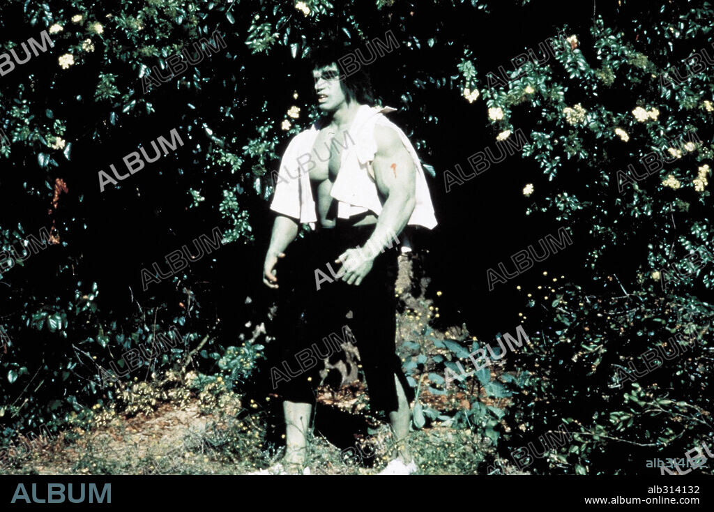 LOU FERRIGNO en EL INCREÍBLE HULK, 1978 (THE INCREDIBLE HULK), dirigida por BILL BIXBY y REZA S. BADIYI. Copyright MARVEL PROD./UNIVERSAL TV.