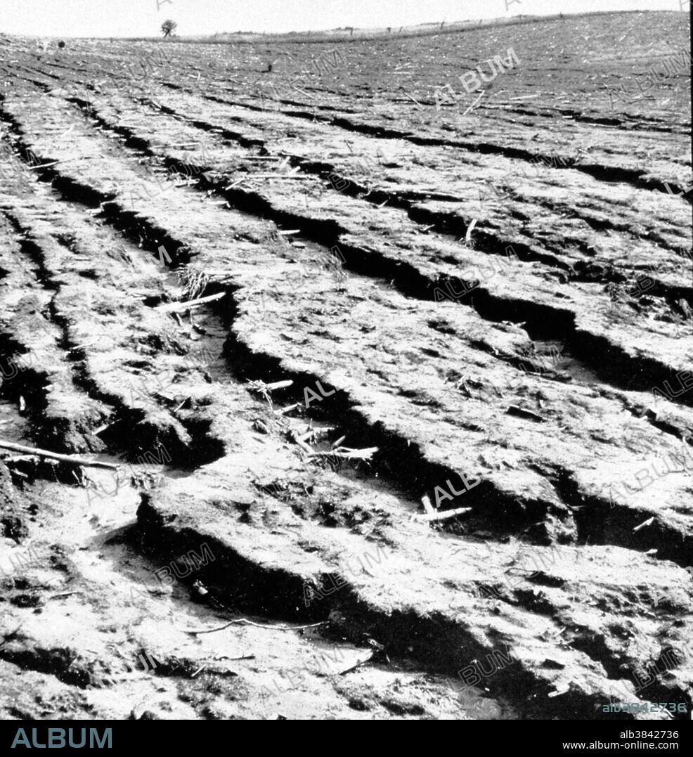 "Manhandled Land - fertile soil goes off by carload lots." A common site during the Dust Bowl. The erosion in this picture was more an effect of poor farming practice than drought though. The Dust Bowl, or the Dirty Thirties, was a period of severe dust storms causing major ecological and agricultural damage to American and Canadian prairie lands from 1930 to 1936 (in some areas until 1940). The phenomenon was caused by severe drought coupled with decades of extensive farming without crop rotation, fallow fields, cover crops or other techniques to prevent wind erosion. Deep plowing of the virgin topsoil of the Great Plains had displaced the natural deep-rooted grasses that normally kept the soil in place and trapped moisture even during periods of drought and high winds.