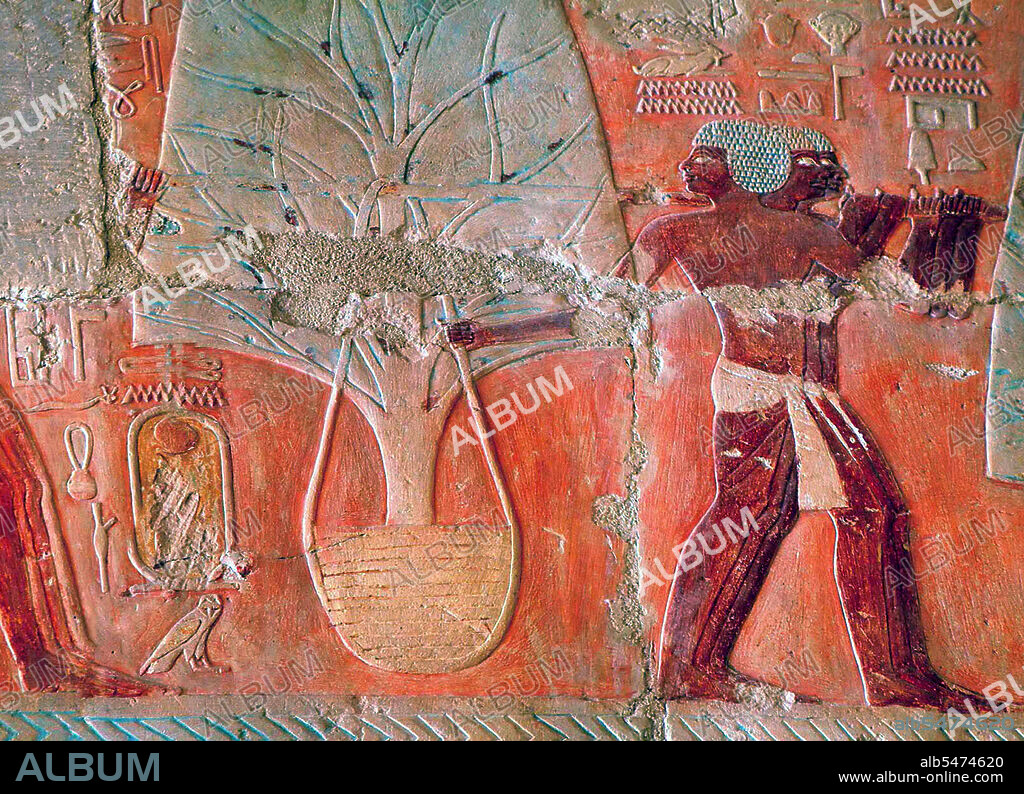 Hatshepsut established the trade networks that had been disrupted during the Hyksos occupation of Egypt during the Second Intermediate Period, thereby building the wealth of the eighteenth dynasty. She oversaw the preparations and funding for a mission to the Land of Punt. The expedition set out in her name with five ships, each measuring 70 feet (21 m) long bearing several sails and accommodating 210 men that included sailors and 30 rowers. Many trade goods were bought in Punt, notably myrrh. Most notably, however, the Egyptians returned from the voyage bearing thirty-one live myrrh trees, the roots of which were carefully kept in baskets for the duration of the voyage. This was the first recorded attempt to transplant foreign trees. It is reported that Hatshepsut had these trees planted in the courts of her Deir el Bahri mortuary temple complex. She had the expedition commemorated in relief at Deir el-Bahri, which is also famous for its realistic depiction of the Queen of the Land of Punt, Queen Iti, who appears to have had a genetic trait called steatopygia (a large amount of fat accumulating around the buttocks). Hatshepsut also sent raiding expeditions to Byblos and Sinai shortly after the Punt expedition.