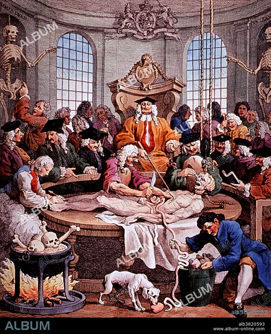Lithograph entitled: "The Reward Of Cruelty Design'd by Hogarth." A cadaver is being dissected in an anatomical theater. The Four Stages of Cruelty is a series of four printed engravings published by English artist William Hogarth in 1751. Each print depicts a different stage in the life of the fictional Tom Nero. Beginning with the torture of a dog as a child in the First stage of cruelty, Nero progresses to beating his horse as a man in the Second stage of cruelty, and then to robbery, seduction, and murder in Cruelty in perfection. Finally, in The reward of cruelty, he receives what Hogarth warns is the inevitable fate of those who start down the path Nero has followed: his body is taken from the gallows after his execution as a murderer and is mutilated by surgeons in the anatomical theater.