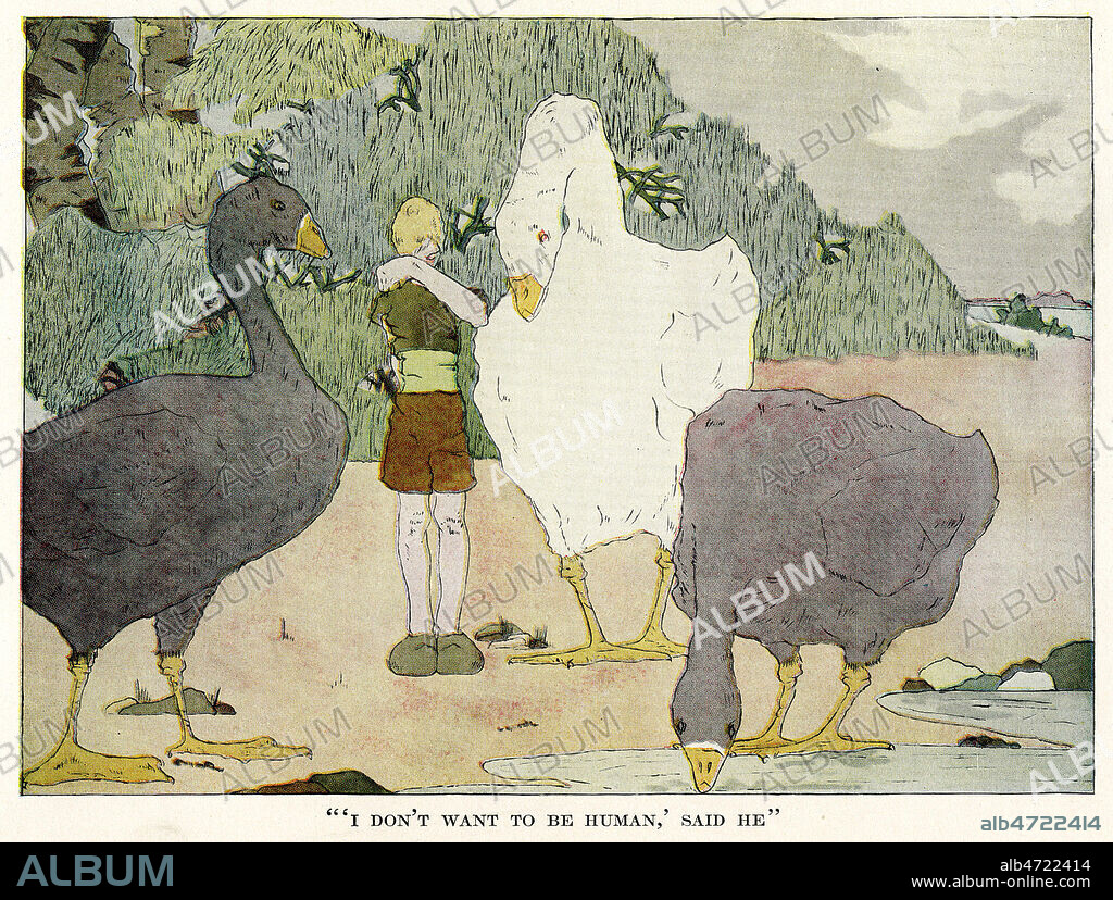 (Je ne veux plus etre humain dit Nils Holgersson). Illustration de 1925 par Mary Hamilton FRYE pour Les merveilleuses aventures de Nils Holgersson par Selma LAGERLOF (1858-1940). Credit : Coll. Jonas/KHARBINE-TAPABOR.