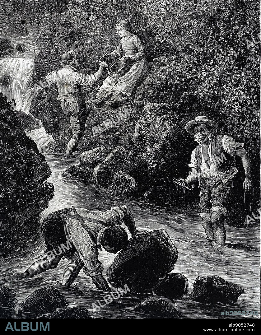 Engraving depicting young men tickling trout. Trout tickling is the art of rubbing the underbelly of a trout with fingers. If done properly, the trout will go into a trance after a minute or so, and can then easily be thrown onto the nearest bit of dry land. Dated 19th century.