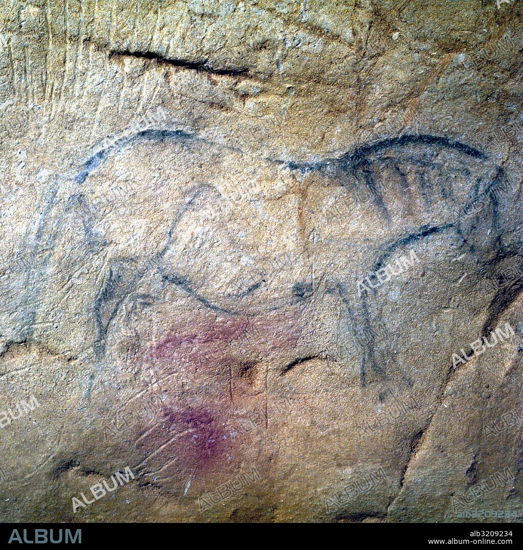 CUEVA DE EKAIN. GALERIA DE ZALDEI O DE LOS CABALLOS: VARIAS PINTURAS DE CABALLOS Y DETALLES.  DEVA, GUIPUZCOA, PAIS VASCO, ESPAÑA.
