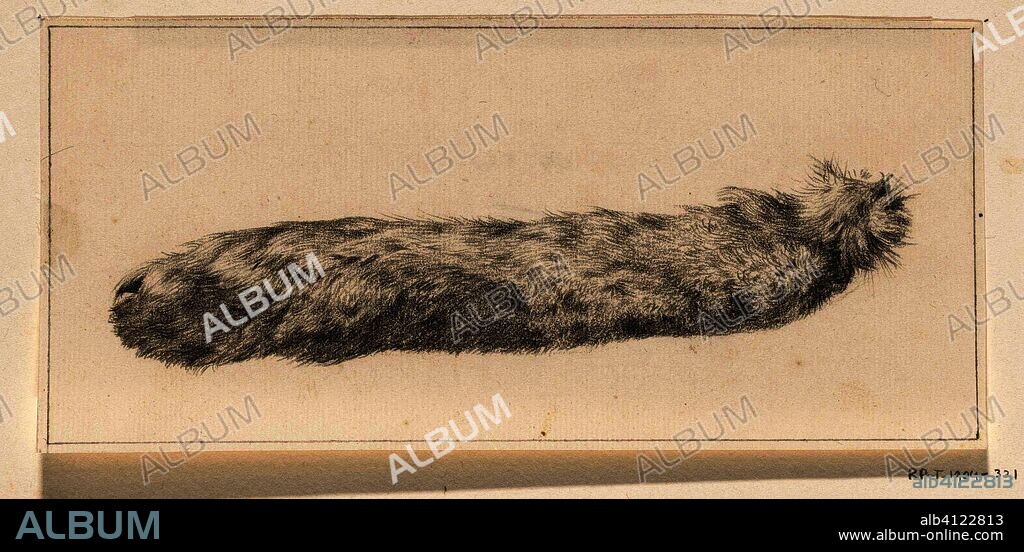 Hares paw. Draughtsman: Jean Bernard. Dating: 1775 - 1833. Measurements: h 88 mm × w 191 mm.
