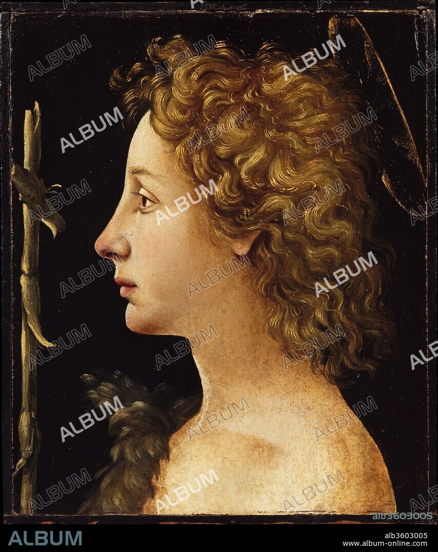 The Young Saint John the Baptist. Artist: Piero di Cosimo (Piero di Lorenzo di Piero d'Antonio) (Italian, Florence 1462-1522 Florence). Dimensions: 11 1/2 x 9 1/4 in. (29.2 x 23.5 cm).
Saint John the Baptist is one of the patron saints of Florence, where representations of him as a youth enjoyed a special popularity in the fifteenth century. In its format and profile depiction of the saint, this picture resembles marble reliefs. Though he trained with Cosimo Rosselli, this beautiful early work is strongly influenced by Filippino Lippi.