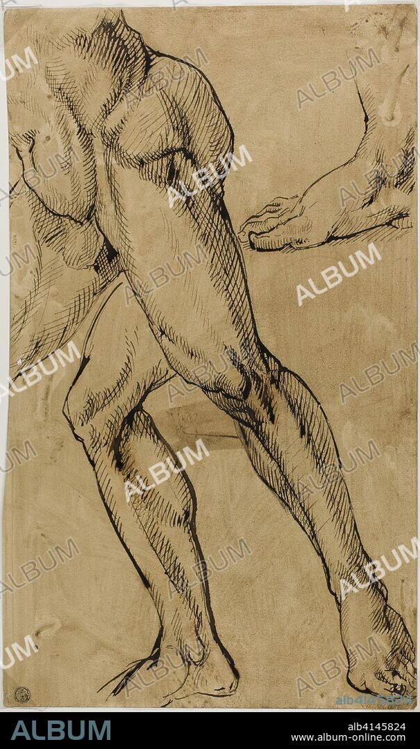 MIGUEL ANGEL. Legs and Feet of Male Nude. Possibly after Michelangelo Buonarroti; Italian, 1475-1564. Date: 1812-1850. Dimensions: 431 x 256 mm. Pen and brown ink, on cream wove paper prepared with a pale brown wash. Origin: Italy.