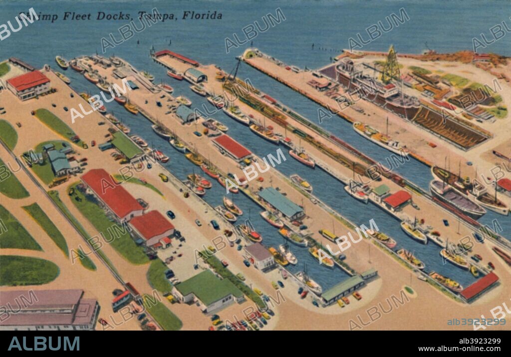 'Shrimp Fleet Docks, Tampa, Florida', 1940s. [Tichnor Quality Views, Boston].