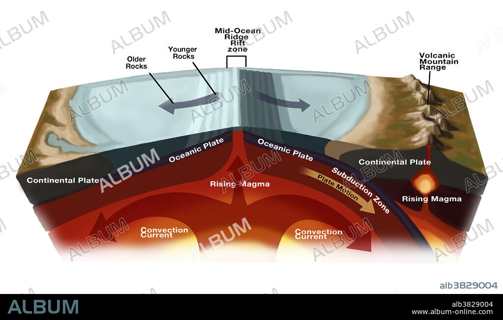 Plate Tectonics