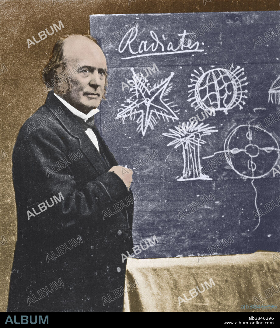Jean Louis Rodolphe Agassiz (1807 - 1873), Swiss-born American naturalist, paleontologist, zoologist, and geologist. Agassiz became known for his early studies and classification of fossil fish. Later on in his career, he began studying glaciers. He was the first to propose the ice age theory, and is known as the ''Father of Glaciology''. In 1848, Agassiz was awarded professorship at Harvard and in 1859 he founded the Museum of Comparative Zoology. He was also a founding member of the National Academy of Sciences and an appointed regent of the Smithsonian Institution. Colored Version of BD4603.