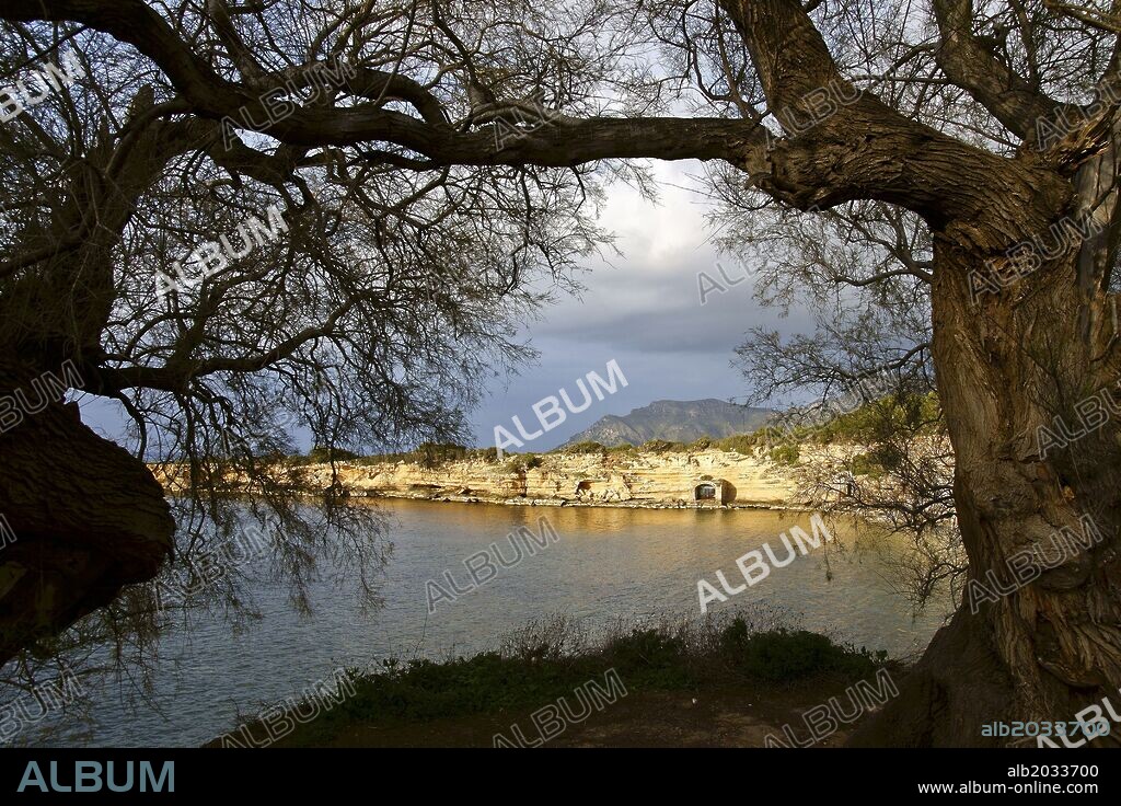 Cala de Ca los Camps.Litoral de la Colonia de Sant Pere. Bahia de Alcudia. Península de Llevant.Arta.Mallorca.Islas Baleares. España.