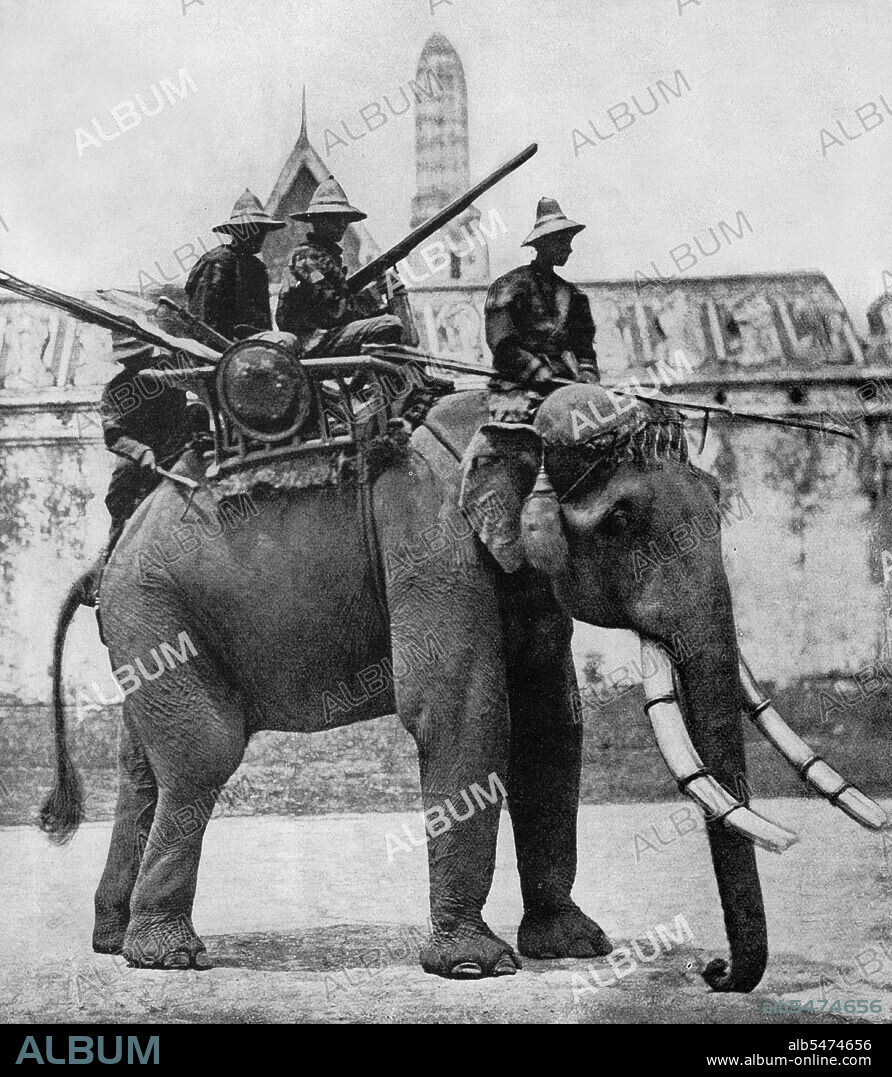 In the 19th century, the Asian Elephant held a prominent position in Siam, although they were hunted regularly north of Ayutthaya and the Lao States (present day, Chiang Mai province and Isan). Not only were elephants used as beasts of burden in agriculture and for hauling timber, but they were active in war leading cavalry charges against the enemy. Elephants were frequently employed in the Siamese-Burmese wars of the Middle Ages. Siam's kings kept elephants, especially prized albino elephants, in elaborate stables. An adult Asian Elephant regularly lives to 90 years of age, grows to 2.5 to 3 meters in height and consumes about 100 kg of hay, fruit and vegetables per day. During the reigns of King Mongkut Rama IV (1851 68) and King Chulalongkorn (1868 1910), the national flag of Siam was a white elephant on a red background.