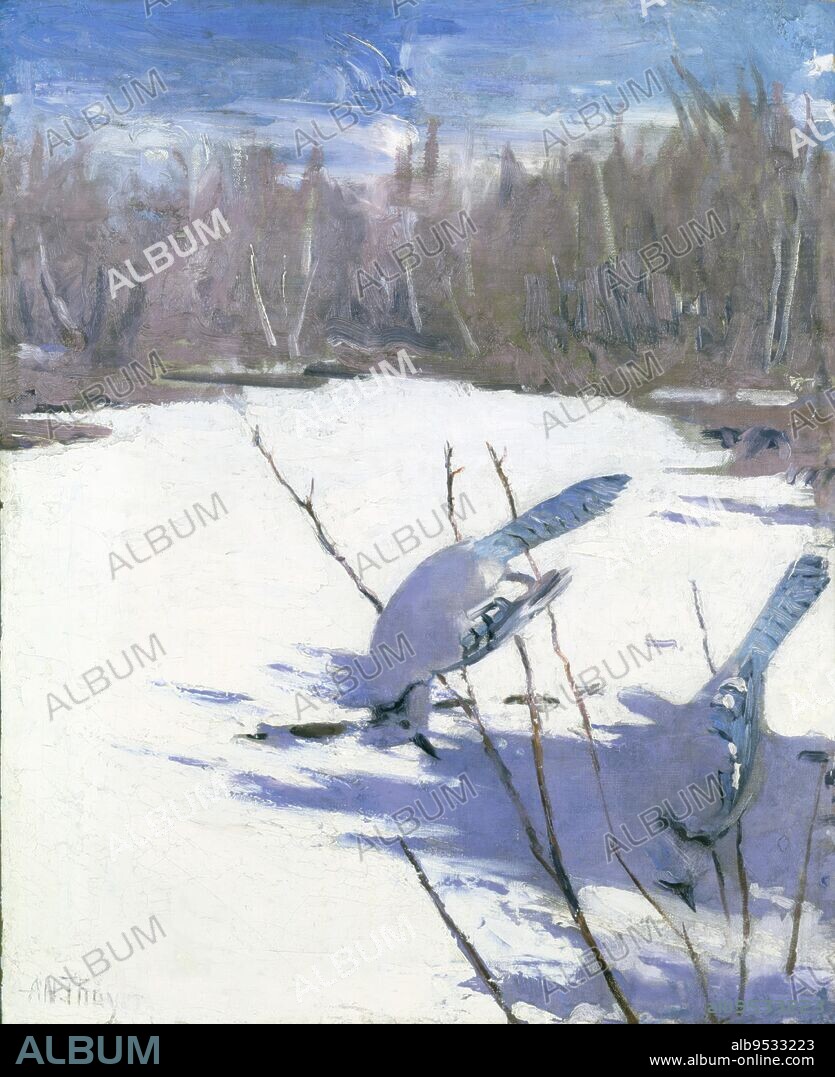 ABBOTT HANDERSON THAYER. Blue Jays in Winter, study for book Concealing Coloration in the Animal Kingdom. oil on canvas. Date: ca. 1905-1909.