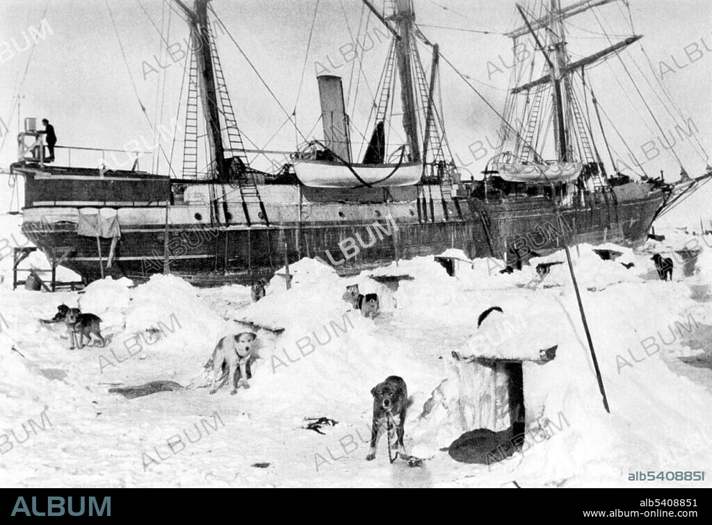 Imperial Trans-Antarctic Expedition, Sled Dogs, 1915