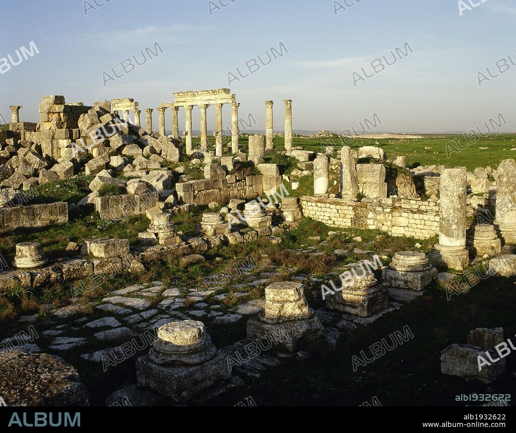 ARTE ROMANO. SIRIA. APAMEA (AFAMIA). Ciudad romana que pasó a formar parte del Imperio Romano a partir del año 64 a. C. Vista general de las ruinas del TEMPLO DE ZEUS BELOS, que en el años 384 fue desmantelado, cuando el cristianismo se impuso en el Imperio.