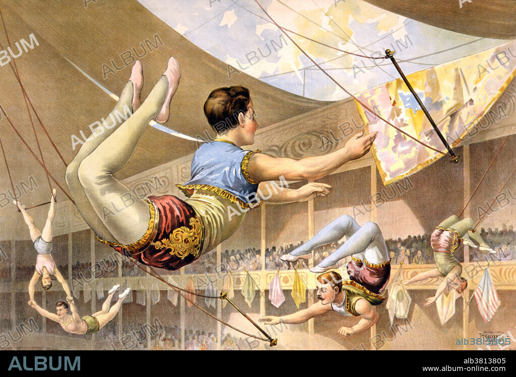 Entitled: Five male trapeze artists performing at a circus. A trapeze is a short horizontal bar hung by ropes or metal straps from a support. It is an aerial apparatus commonly found in circus performances. Trapeze acts may be static, spinning (rigged from a single point), swinging or flying, and may be performed solo, double, triple or as a group act. It is officially the last performance of the circus. An aerialist is an acrobat who performs in the air, on a suspended apparatus such as a trapeze, rope, cloud swing, aerial cradle, aerial pole, aerial silk, or aerial hoop. Published by Calvert Lithograph Company, 1890.