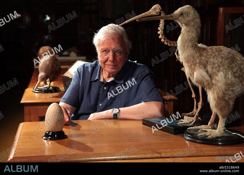DAVID ATTENBOROUGH in NATURAL CURIOSITIES, 2013, directed by HILARY JEFFKINS. Copyright BBC.