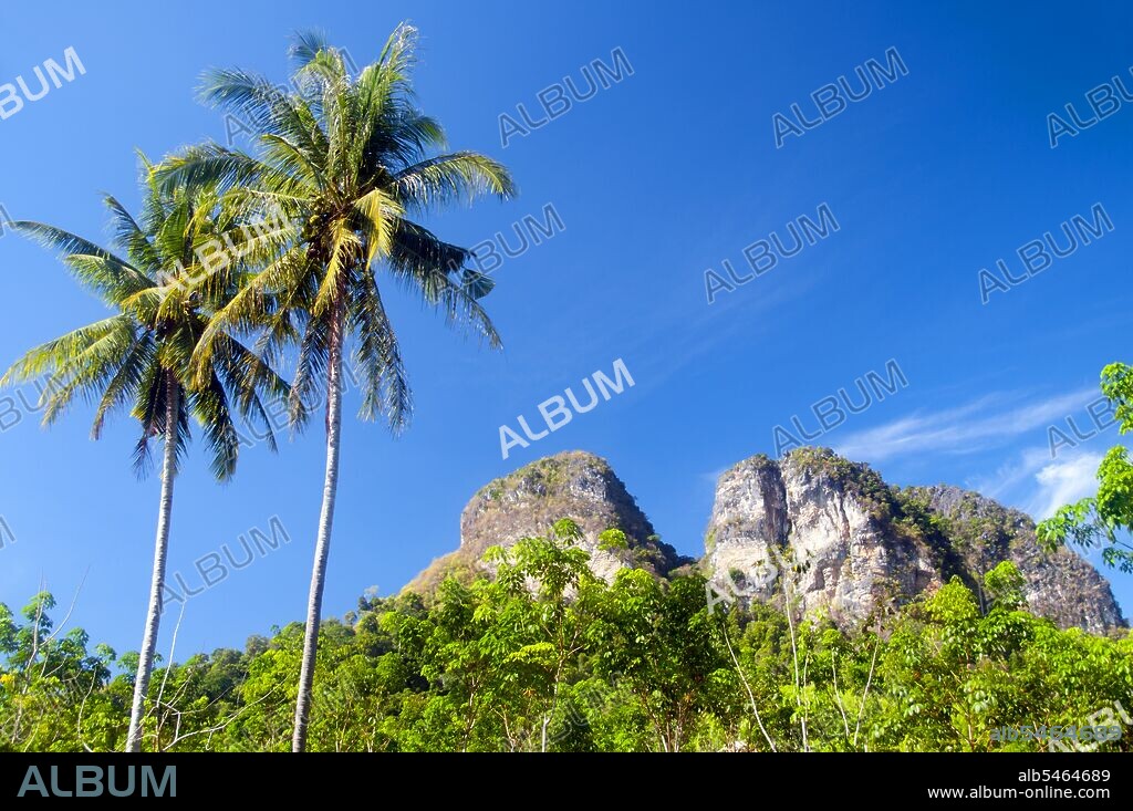 Krabi Province is made up of more than 5,000 sq km of jungle-covered hills and sharp, jagged karst outcrops, as well as more than 100km of luxuriant, pristine coastline and around 200 islands in the neighbouring Andaman Sea. About 40 per cent of the provincial population is Muslim, the remainder being predominantly Buddhist. This is a clear indication that Krabi sits astride the invisible dividing line between Buddhist Thailand and the four southern provinces—Satun, Narathiwat, Yala and Pattani—which are predominantly Muslim. Far from causing any sort of problem, this adds immensely to the cultural width and diversity of the province, blending mosques with temples, Malay cooking traditions with Thai cuisine, and giving the province a pleasantly relaxed multi-cultural feel.