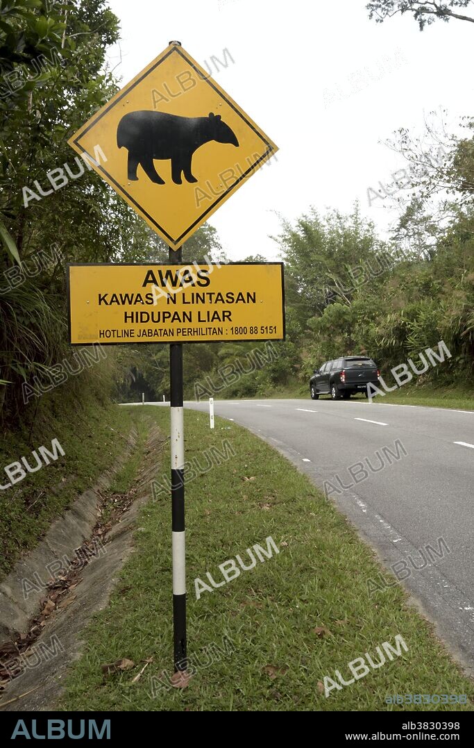 Tapir Warning Sign
