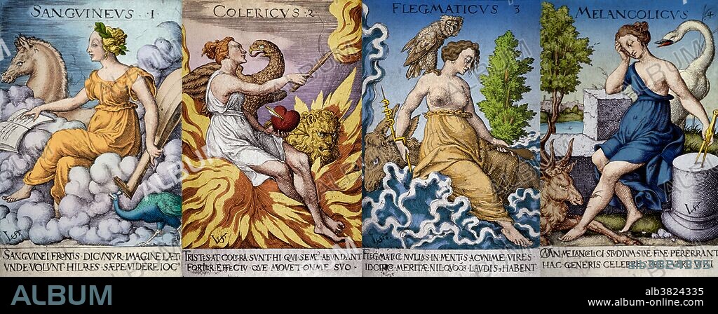 The Four Humors. Humorism was an ancient theory of medicine that held that an excess or deficiency of any of four distinct bodily fluids, or 'humors', directly influences a person's temperament and health. From Hippocrates onward, the humoral theory was adopted by Greek, Roman and Persian physicians, and became the most commonly held view of the human body among European physicians until the advent of modern medical research in the nineteenth century. The four humors are black bile, yellow bile, phlegm, and blood. Each corresponds to one of the traditional four temperaments or personality types: sanguine (pleasure-seeking and sociable), choleric (ambitious and leader-like), melancholic (analytical and literal), and phlegmatic (relaxed and thoughtful). Engraving by Virgilius Solis, the Elder, 16th century. This image has been color-enhanced.