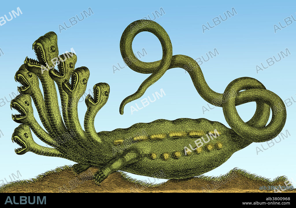 Detail of engraving from Locupletissimi Rerum Naturalium Thesauri by Albertus Seba, 1734. In Greek mythology, the Lernaean Hydra was an ancient serpent-like chthonic water beast, that possessed many heads (for each head cut off it grew two more), and deadly poisonous breath and blood. Beneath the waters was an entrance to the Underworld, and the Hydra was its guardian. The Hydra of Lerna was killed by Hercules who cauterized the necks as he cut off the heads. It was the second of his Twelve Labours.
