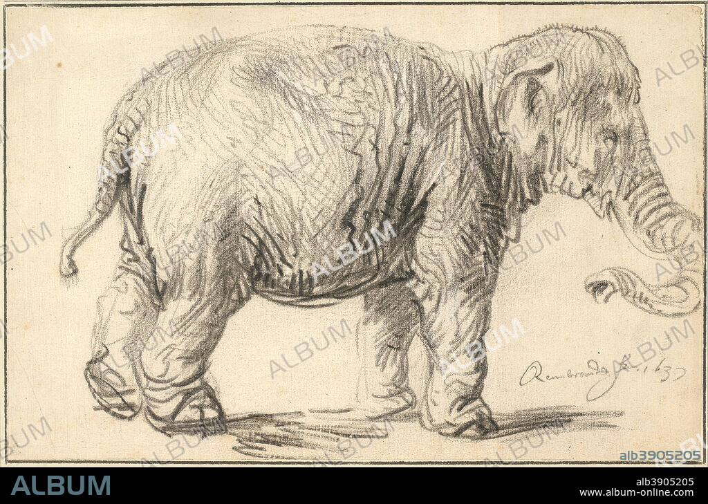 REMBRANDT. An Elephant, 1637. Date/Period: 1637. Drawing. Black chalk on paper.