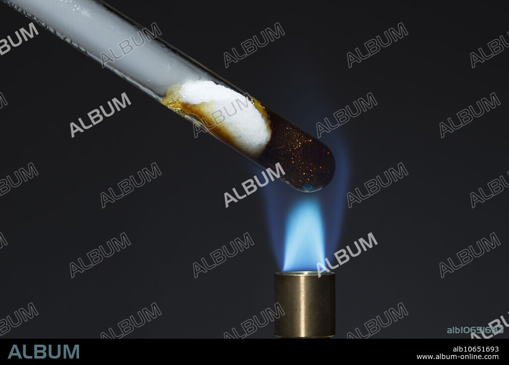 Caramelization of sucrose. A test tube with sucrose (table sugar), C12H22O11, is placed over a Bunsen burner flame. When heated, sucrose undergoes caramelization, resulting in characteristic brown colour. Caramelization is chemical decomposition in the absence of oxygen (pyrolysis). It involves several types of reactions that result in many products.