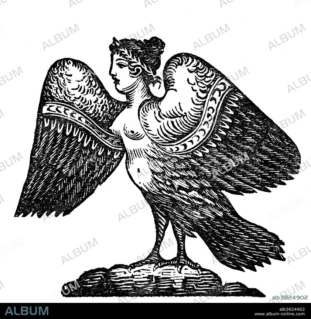 In earlier versions of Greek myth, Harpies were described as beautiful, winged maidens. Later they became winged monsters with the face of an ugly old woman and equipped with crooked, sharp talons. Often described as a ravenous, filthy monster having a woman's head and a bird's body. The literal meaning of the word seems to be "that which snatches". They were vicious, cruel and violent. They were agents of punishment who abducted people and tortured them. They lived on the islands of the Strophades. They were usually seen as the personifications of the destructive nature of wind: Aello (storm swift), Celaeno (the dark) and Ocypete (the swift wing). They are best known for constantly stealing all food from Phineas.