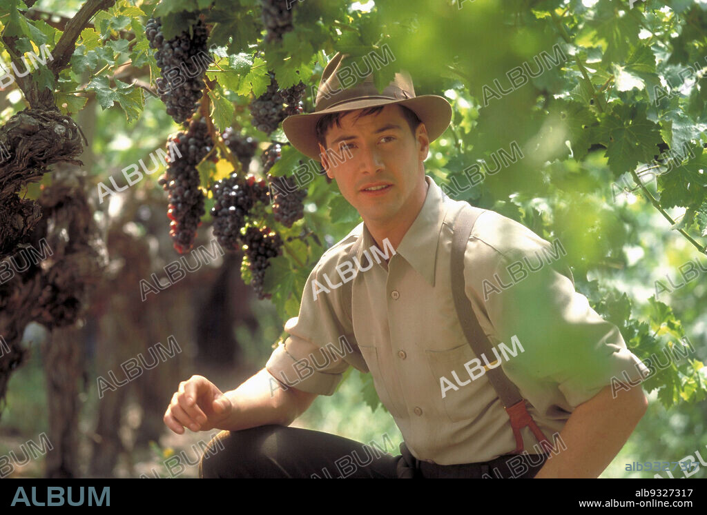 KEANU REEVES in A WALK IN THE CLOUDS, 1995, directed by ALFONSO ARAU. Copyright 20TH CENTURY FOX.