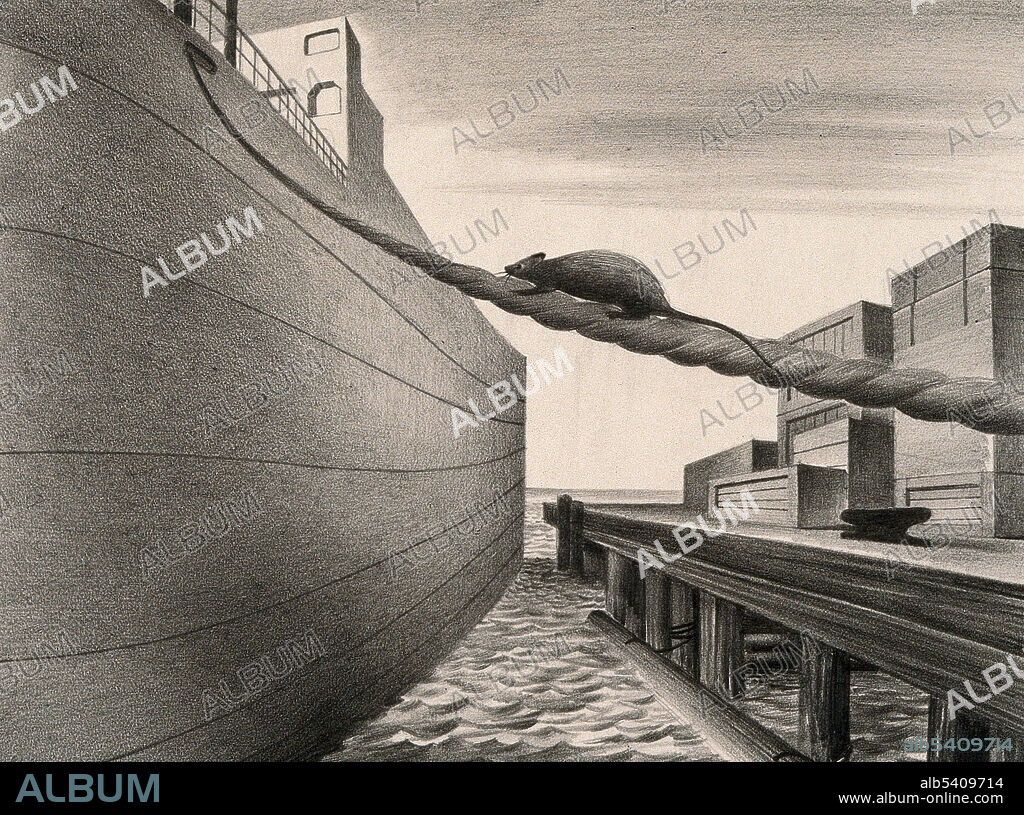 A rat stowing away on a ship, carrying the plague further afield. Graphite drawing by Albert Lloyd Tarter, c. 1940s. The Black Death was one of the most devastating pandemics in human history, resulting in the deaths of an estimated 75 to 200 million people in Eurasia in the 14th century. The bacterium Yersinia pestis, which results in several forms of plague, is thought to have been the cause. It was carried and spread by rat fleas living on the black rats that were regular passengers on merchant ships.