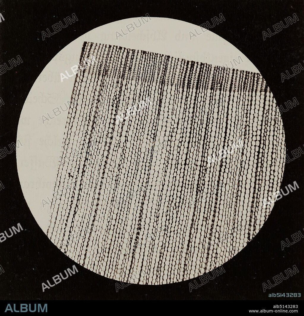 Julius Stinde, spruce wood (cross section), albumin paper, black and white positive process, image size: height: 8.20 cm; width: 8.20 cm, inscribed: recto u. Mitte on the cardboard: type print: FICHTENHOLZ, (QUERSCHTT). The photograph was taken for Stinde between 1868 and 1870 in several partial deliveries of the book Blicke durch das Mikroskop (Views through the Microscope), produced by the publishing house J. F. Richter.