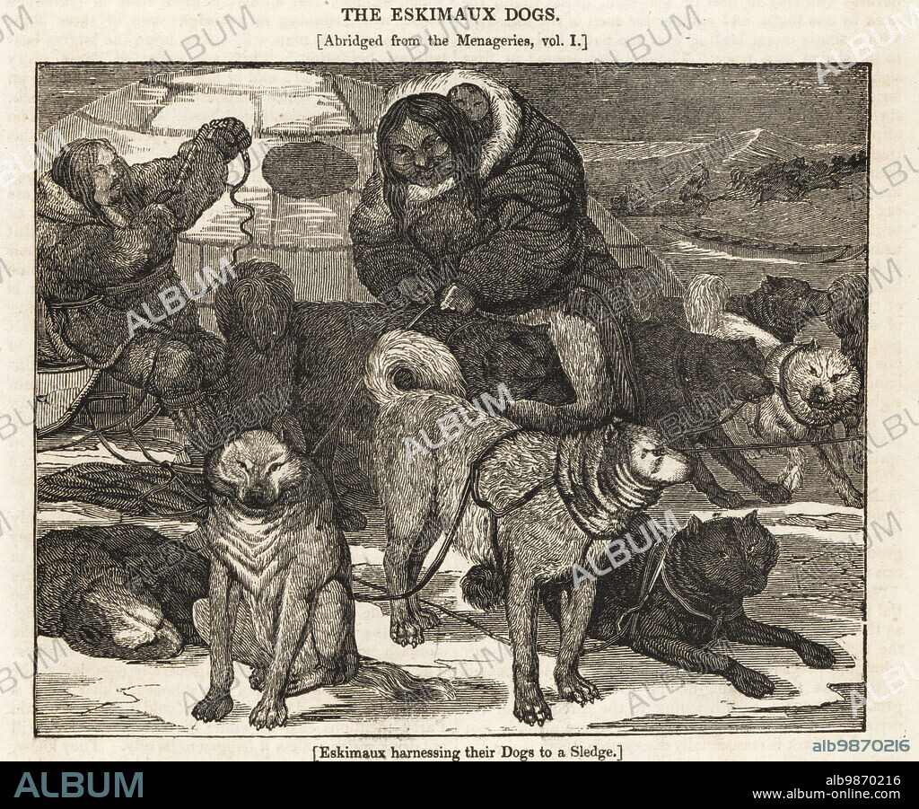 Inuit people with Canadian Eskimo dogs in front of an igloo. Eskimaux harnessing their dogs to a sledge. Woodblock engraving from The Penny Magazine, of the Society for the Diffusion of Useful Knowledge, printed by William Clowes, Lambeth, 1833.
