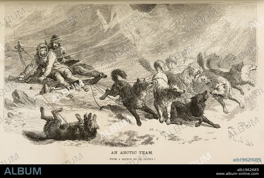 ISAAC ISRAEL HAYES. 'An Arctic team'. (From a sketch by Dr. Hayes). Two men in a sleigh pulled by huskies. The Open Polar Sea: a narrative of a voyage of discovery towards the North Pole, in the Schooner â€œUnited Statesâ€ [With illustrations]. New York, Cambridge [Mass. printed], 1867. Source: 10460.pp.3 Opposite page 105.