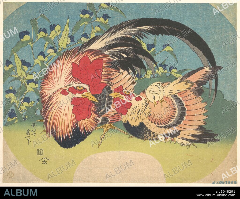 Rooster, Hen and Chicken with Spiderwort. Artist: Katsushika Hokusai (Japanese, Tokyo (Edo) 1760-1849 Tokyo (Edo)). Culture: Japan. Dimensions: Image: 9 x 11 1/2 in. (22.9 x 29.2 cm)
Overall with paper mount: 12 7/8 x 18 1/2 in. (32.7 x 47 cm)
Overall with mat: 15 1/2 x 22 3/4 in. (39.4 x 57.8 cm). Date: ca. 1830-33.
During his Iitsu period, Hokusai often featured flowers and birds in the prints he produced for fans. This image depicts a family of chickens clustered together affectionately in a field of blooming spiderwort, or tsuyukusa. The brilliant palette displays Hokusai's fondness for bright, intense colors.