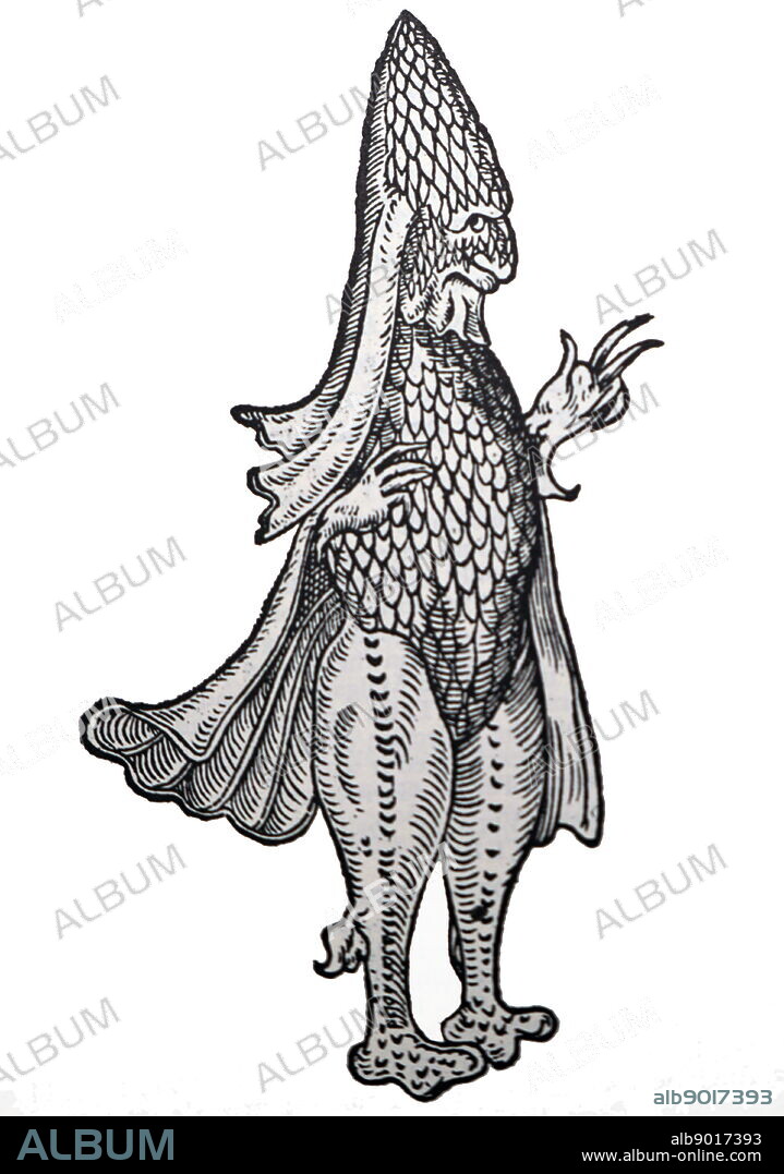 The sea monk (monk-fish or monkfish) was a sea creature found off the eastern coast of the Danish island of Zealand in 1546. It was described as a "fish" that outwardly resembled a human monk in his habit. Rondelet's sea monk (1554) called it "the fish with the habit of a monk (piscis monachi habitu); he classed it as a merman (homo maris).
