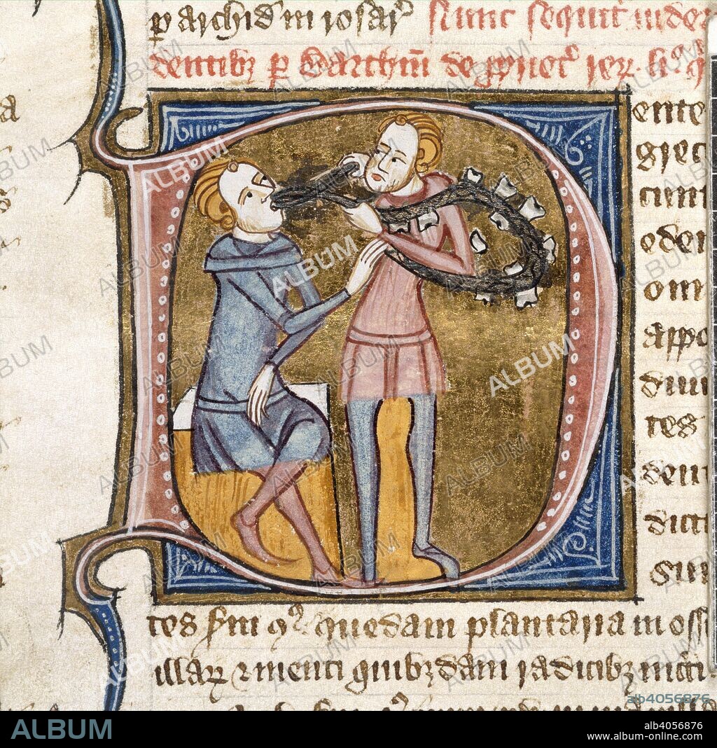 JAMES LE PALMER. Medieval dentistry. Initial 'D', a scene representing teeth [dentes]. A dentist with silver forceps and a necklace of large teeth, extracting the tooth of a seated man. Omne Bonum. England (London); 1360-1375. Source: Royal 6 E. VI, f.503v. Language: Latin.