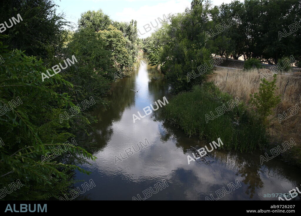 Madrid, 02/08/2021. Paseo fluvial del río Manzanares a la altura de Butarque (Villaverde Bajo), donde desde hace tiempo se producen picaduras por parte de la mosca negra. Foto: Jaime García. ARCHDC.