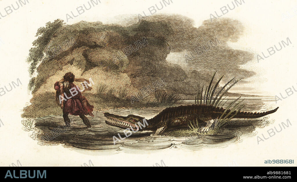 Man saving his wife from the jaws of a crocodile in a river, Philippines, 17th century. Unfortunately, the woman died of her injuries. From an account by Father Navaretti in his Travels, Manila, 1648-1657. Perhaps the critically endangered Philippine crocodile, Crocodylus mindorensis. Handcoloured copperplate engraving from Reverend Thomas Smiths The Naturalists Cabinet, or Interesting Sketches of Animal History, Albion Press, James Cundee, London, 1806. Smith, fl. 1803-1818, was a writer and editor of books on natural history, religion, philosophy, ancient history and astronomy.